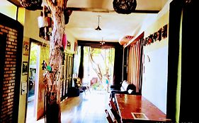 Karaguashouse